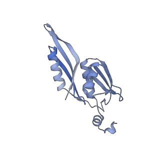 35412_8ifc_E_v1-0
Arbekacin-bound E.coli 70S ribosome in the PURE system