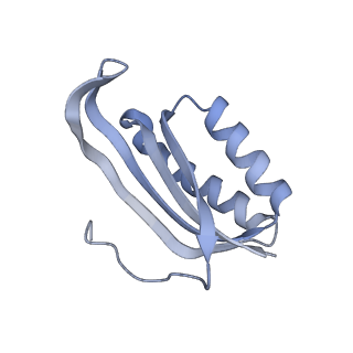 35412_8ifc_F_v1-0
Arbekacin-bound E.coli 70S ribosome in the PURE system