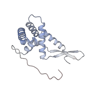 35412_8ifc_G_v1-0
Arbekacin-bound E.coli 70S ribosome in the PURE system