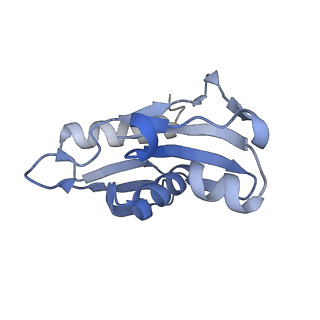 35412_8ifc_H_v1-0
Arbekacin-bound E.coli 70S ribosome in the PURE system