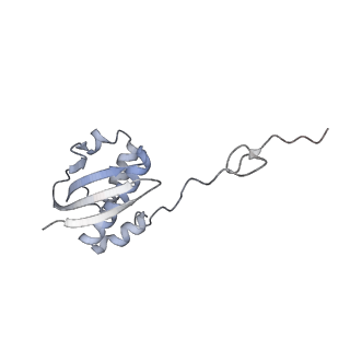 35412_8ifc_I_v1-0
Arbekacin-bound E.coli 70S ribosome in the PURE system