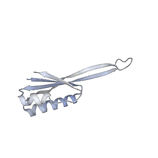 35412_8ifc_J_v1-0
Arbekacin-bound E.coli 70S ribosome in the PURE system