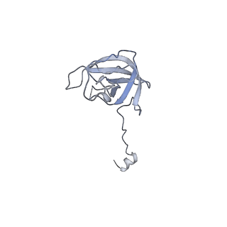 35412_8ifc_L_v1-0
Arbekacin-bound E.coli 70S ribosome in the PURE system