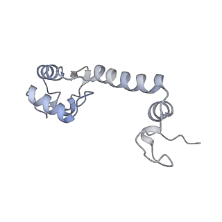 35412_8ifc_M_v1-0
Arbekacin-bound E.coli 70S ribosome in the PURE system