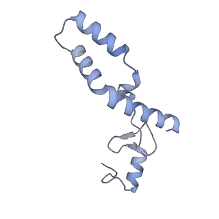 35412_8ifc_N_v1-0
Arbekacin-bound E.coli 70S ribosome in the PURE system