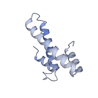 35412_8ifc_O_v1-0
Arbekacin-bound E.coli 70S ribosome in the PURE system