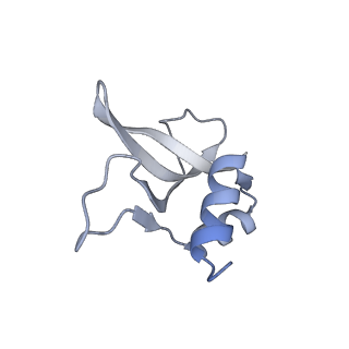 35412_8ifc_P_v1-0
Arbekacin-bound E.coli 70S ribosome in the PURE system