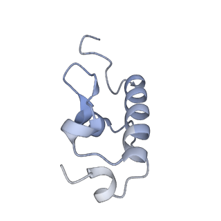 35412_8ifc_R_v1-0
Arbekacin-bound E.coli 70S ribosome in the PURE system
