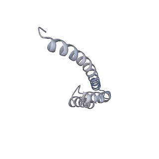 35412_8ifc_T_v1-0
Arbekacin-bound E.coli 70S ribosome in the PURE system