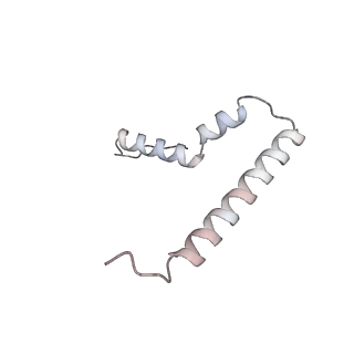 35412_8ifc_U_v1-0
Arbekacin-bound E.coli 70S ribosome in the PURE system