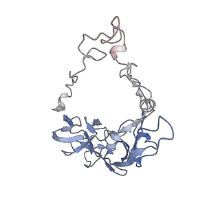 35412_8ifc_c_v1-0
Arbekacin-bound E.coli 70S ribosome in the PURE system