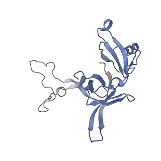 35412_8ifc_d_v1-0
Arbekacin-bound E.coli 70S ribosome in the PURE system