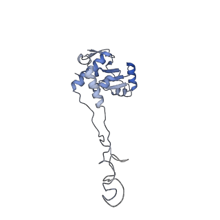 35412_8ifc_e_v1-0
Arbekacin-bound E.coli 70S ribosome in the PURE system