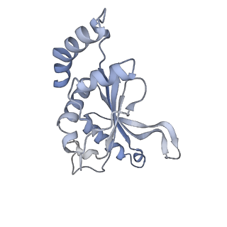 35412_8ifc_f_v1-0
Arbekacin-bound E.coli 70S ribosome in the PURE system