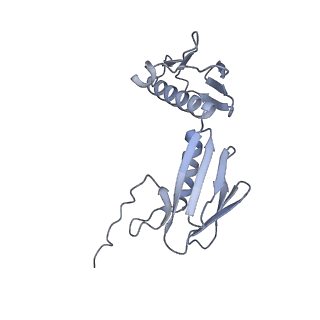 35412_8ifc_g_v1-0
Arbekacin-bound E.coli 70S ribosome in the PURE system