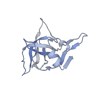 35412_8ifc_j_v1-0
Arbekacin-bound E.coli 70S ribosome in the PURE system