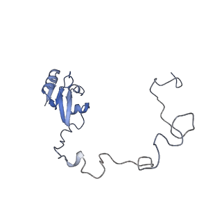 35412_8ifc_k_v1-0
Arbekacin-bound E.coli 70S ribosome in the PURE system