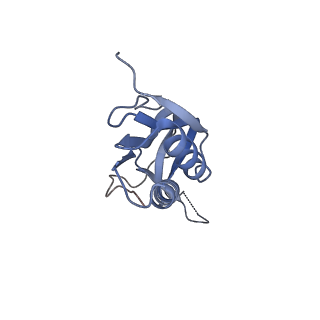 35412_8ifc_l_v1-0
Arbekacin-bound E.coli 70S ribosome in the PURE system