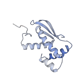 35412_8ifc_m_v1-0
Arbekacin-bound E.coli 70S ribosome in the PURE system