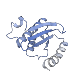 35412_8ifc_n_v1-0
Arbekacin-bound E.coli 70S ribosome in the PURE system