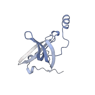 35412_8ifc_o_v1-0
Arbekacin-bound E.coli 70S ribosome in the PURE system