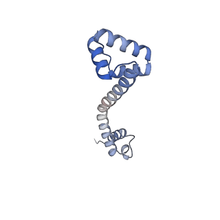 35412_8ifc_p_v1-0
Arbekacin-bound E.coli 70S ribosome in the PURE system