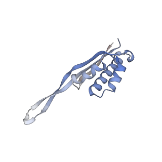 35412_8ifc_r_v1-0
Arbekacin-bound E.coli 70S ribosome in the PURE system