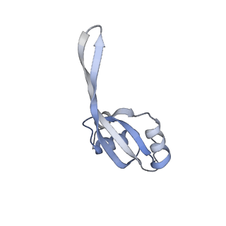 35412_8ifc_s_v1-0
Arbekacin-bound E.coli 70S ribosome in the PURE system