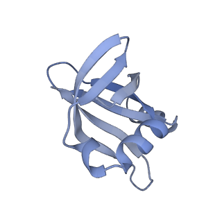 35412_8ifc_u_v1-0
Arbekacin-bound E.coli 70S ribosome in the PURE system