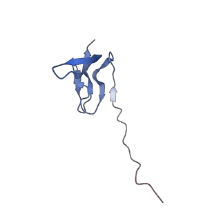 35412_8ifc_v_v1-0
Arbekacin-bound E.coli 70S ribosome in the PURE system
