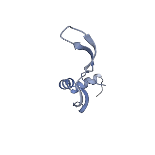 35412_8ifc_w_v1-0
Arbekacin-bound E.coli 70S ribosome in the PURE system