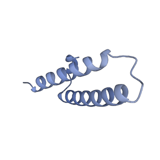 35412_8ifc_x_v1-0
Arbekacin-bound E.coli 70S ribosome in the PURE system