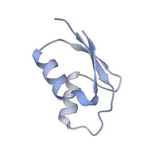 35412_8ifc_y_v1-0
Arbekacin-bound E.coli 70S ribosome in the PURE system