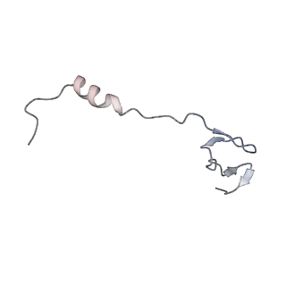 35412_8ifc_z_v1-0
Arbekacin-bound E.coli 70S ribosome in the PURE system