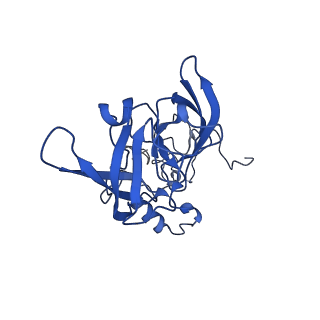 35413_8ifd_1D_v1-0
Dibekacin-added human 80S ribosome