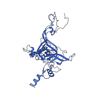 35413_8ifd_1E_v1-0
Dibekacin-added human 80S ribosome