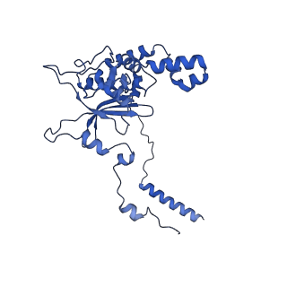 35413_8ifd_1G_v1-0
Dibekacin-added human 80S ribosome