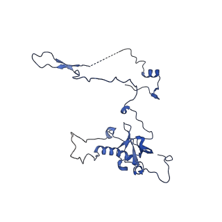 35413_8ifd_1H_v1-0
Dibekacin-added human 80S ribosome