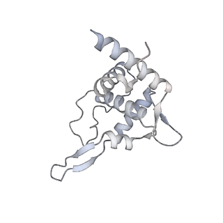 35413_8ifd_20_v1-0
Dibekacin-added human 80S ribosome