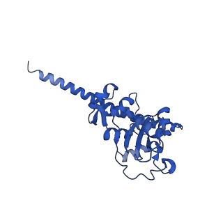 35413_8ifd_2A_v1-0
Dibekacin-added human 80S ribosome