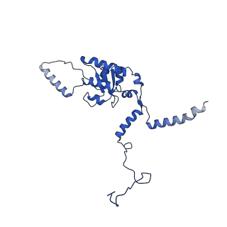 35413_8ifd_2B_v1-0
Dibekacin-added human 80S ribosome