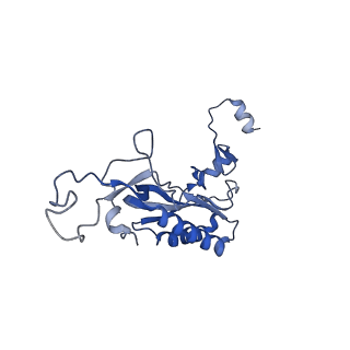 35413_8ifd_2D_v1-0
Dibekacin-added human 80S ribosome