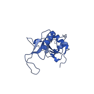 35413_8ifd_2E_v1-0
Dibekacin-added human 80S ribosome