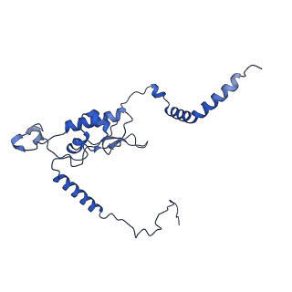 35413_8ifd_2F_v1-0
Dibekacin-added human 80S ribosome