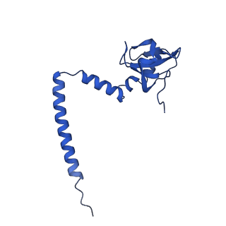 35413_8ifd_2G_v1-0
Dibekacin-added human 80S ribosome