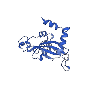 35413_8ifd_2H_v1-0
Dibekacin-added human 80S ribosome