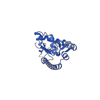 35413_8ifd_2I_v1-0
Dibekacin-added human 80S ribosome