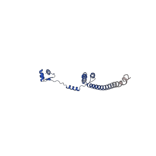 35413_8ifd_2L_v1-0
Dibekacin-added human 80S ribosome