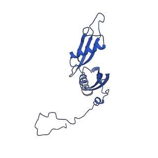 35413_8ifd_2M_v1-0
Dibekacin-added human 80S ribosome