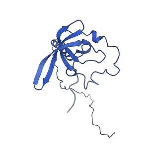 35413_8ifd_2N_v1-0
Dibekacin-added human 80S ribosome